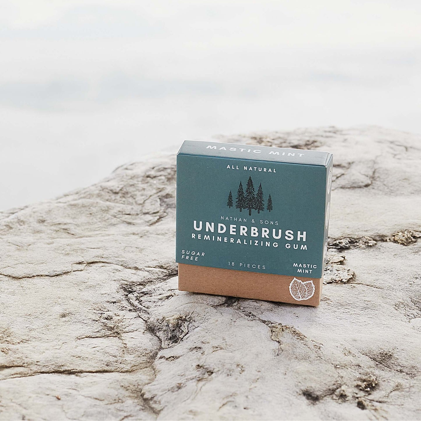 Underbrush™ Gum – Goma Remineralizante Natural para Dientes y Encías Saludables (18 piezas)