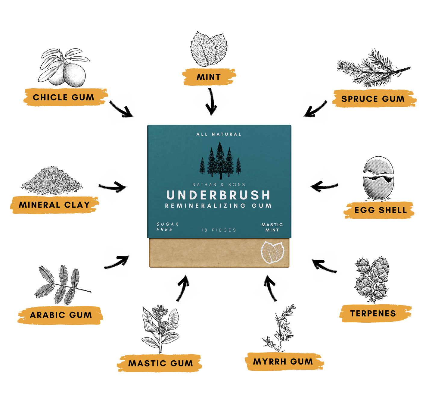 Underbrush™ Gum – Goma Remineralizante Natural para Dientes y Encías Saludables (18 piezas)