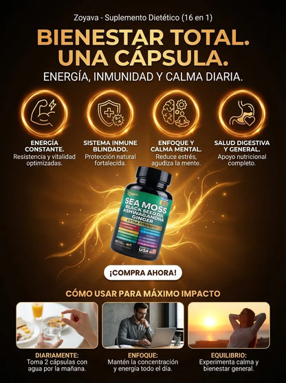 Sea Moss Complex con Black Seed Oil, Ashwagandha y Jengibre (60 Cápsulas)