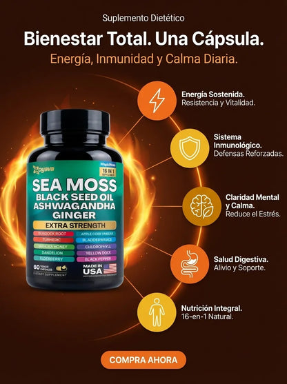 Sea Moss Complex con Black Seed Oil, Ashwagandha y Jengibre (60 Cápsulas)